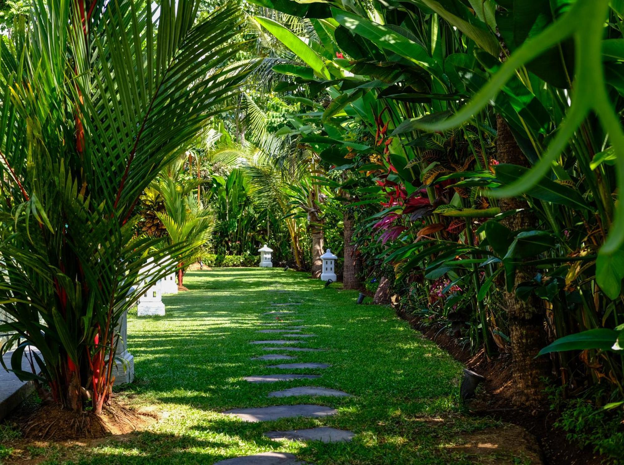 Villa Mata Hari Panji Экстерьер фото